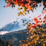 如何发传真到日本