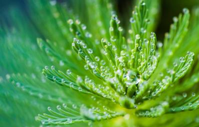 传真技术已变得绿色环保